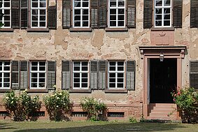 Die Burg Büdingen null