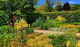 Gelb Garten in Gelb