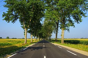 Frankreich - Landstraße bei Mulhouse null