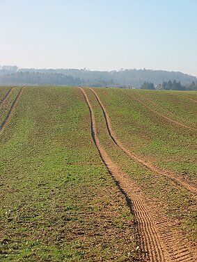 Spuren auf der Langgewann null