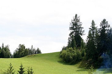 Seefeld in Tirol Impression